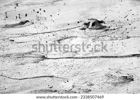 Old weathered tree trunk washed up by the sea with traces of sand close up. Black and white photography.
