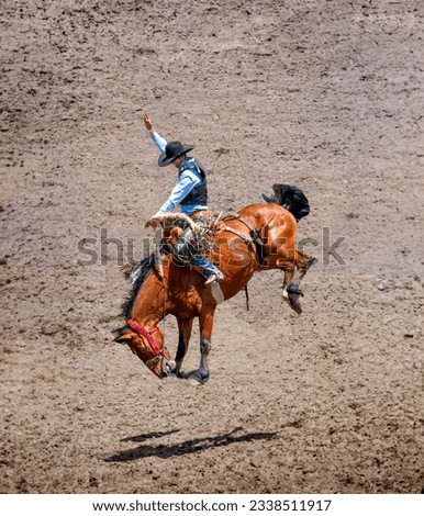 A rodeo cowboy is riding a bucking bronco. He is in an arena with dirt flying from the kicking horse.  The cowboy is wearing a black vest and blue shirt. Royalty-Free Stock Photo #2338511917