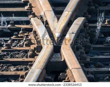 Acute angle railway crossing with frog rail Royalty-Free Stock Photo #2338526413