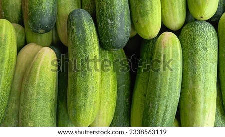 Full screen fresh green cucumber