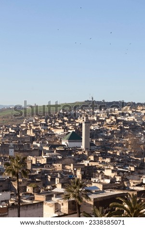 Cityscape, old town, UNESCO World Heritage Site, Fez, Morocco, Africa