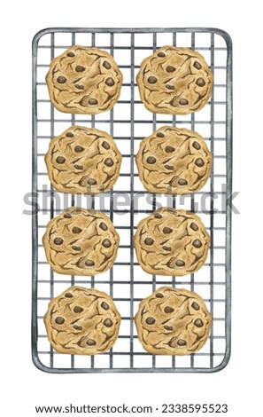 Cookies with chocolate chips on the oven grate. Homemade baking. Watercolor illustration on a white background. Illustration for menu, cafe, restaurants, recipe book home