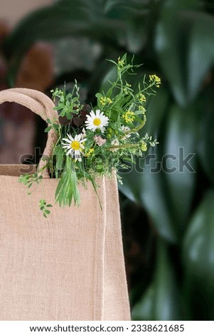 Wild fresh flowers bouquet in canvas textile bag, natural summer background. Greeting card, seasons, vacation concept