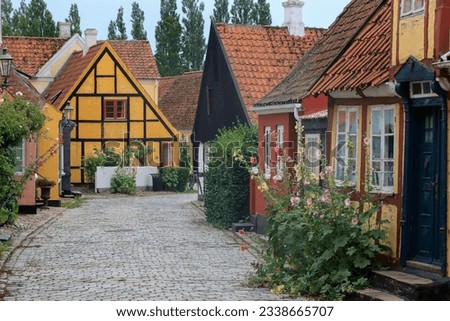 Colorful traditional houses with decorative hollyhocks in the old town of Ærøskøbing Sogn. Royalty-Free Stock Photo #2338665707