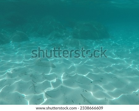 observation of small fish underwater
