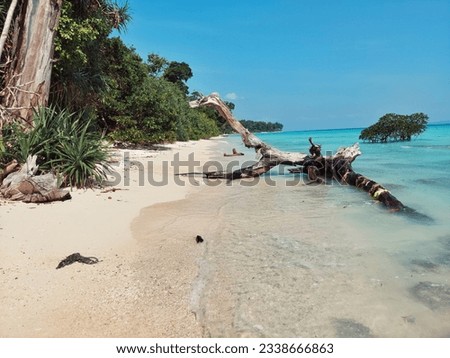 Andaman,Blue Island,India,5April 2023: Scenic beauty of Bharatpur beach,water flowing through mangroves with old tree trunks lying in the Indian ocean,tranquil tourist sport with blurred background  Royalty-Free Stock Photo #2338666863