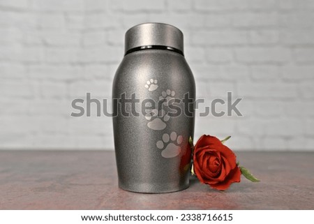 In remembrance of a pet. Pet urn beside a red rose. Royalty-Free Stock Photo #2338716615