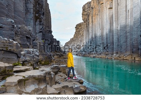 Hiker woman in yellow jacket visiting Studlagil Canyon, Iceland. Famous touristic landmark destination with volcanic basalt columns. Royalty-Free Stock Photo #2338728753
