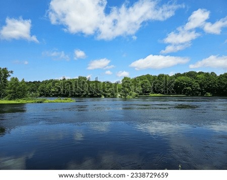 A scenic river view of the calm water with wilderness around it on a summer day.
