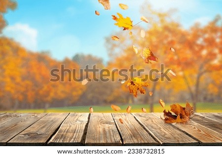 orange fall  leaves and old wooden board, autumn natural background