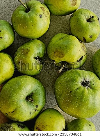 texture of green apples in the summer season of 2023 in italy