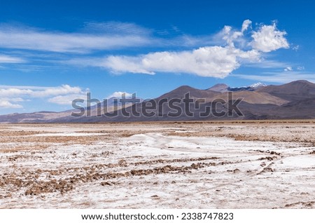 Crossing the Andes from Antofagasta de la Sierra to Antofalla - stunning landscape around the salt desert Salar de Antofalla in the Puna highlands Royalty-Free Stock Photo #2338747823