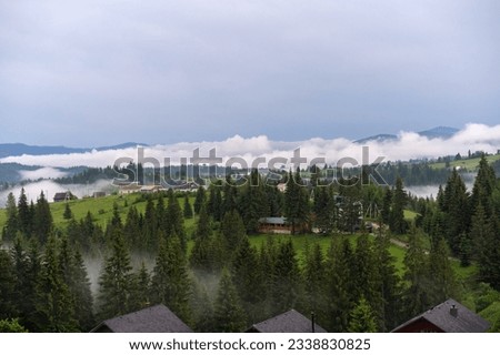Mountain nature. View of the mountains in the clouds. Summer in the Carpathians. Beautiful evening views of the passing day