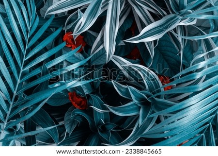 Creative fluorescent background of leaves and flowers of tropical plants.  

