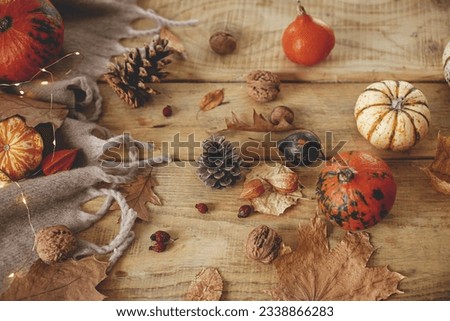 Autumn still life. Cute pumpkins, autumn leaves, cones, walnuts, cozy scarf on rustic wooden table in farmhouse. Fall in rural home. Happy Thanksgiving. Fall banner Royalty-Free Stock Photo #2338866283