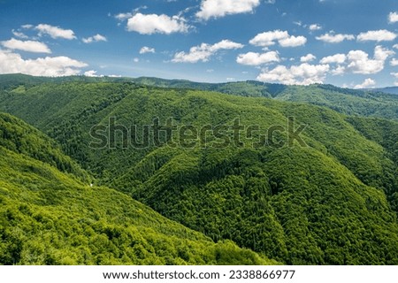 Forests of Romania. Wide angle landscape photo with the amazing green forest from Orastiei Mountains under a clear blue sky and white clouds. Nature of Romania.