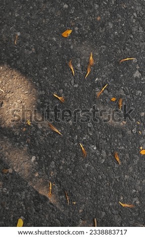 selective focus of dry flowers on the asphalt road 