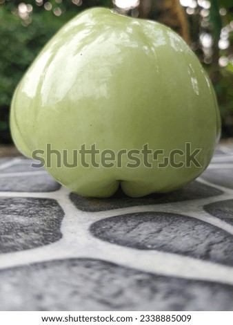 picture of the floor of the house with a background of fresh green guavas ready to be consumed
