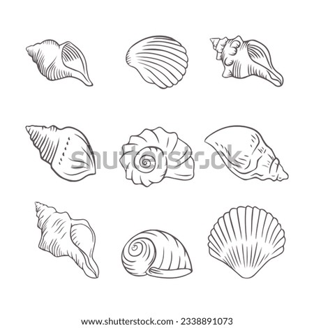 seashell outline illustration. Seashells vector set. Hand drawn illustrations of engraved line. Collection of realistic sketches various mollusk sea shells different forms. isolated white background. Royalty-Free Stock Photo #2338891073