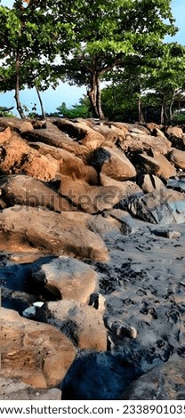 sands, rocks, beach, trees, sky and clouds