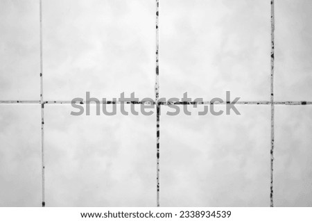 Mold on the tiles in the bathroom. Black mold on the seams between the tiles .Black mold in the bathroom. Black and white photo. Royalty-Free Stock Photo #2338934539