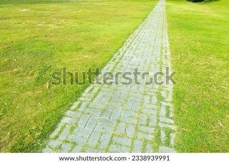 Beautiful Walkway pathway in garden with green meadows,Scenic panoramic view on a beautiful sunny day,park picture concept.