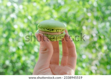French colored macaron in hand