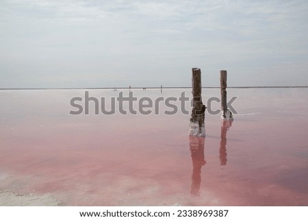 Pink Lake in the Kherson region, Ukraine. Algae turn the water pink. Royalty-Free Stock Photo #2338969387