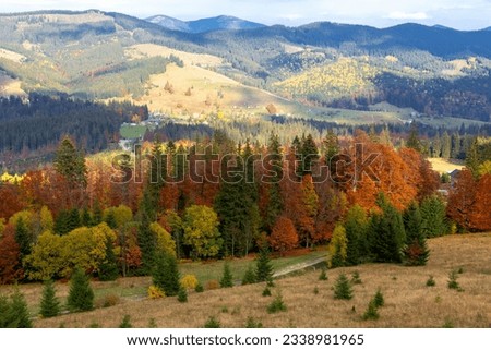 Beautiful colorful autumn mountains in sunshine. Beauty of Carpathians. Tourism and travel