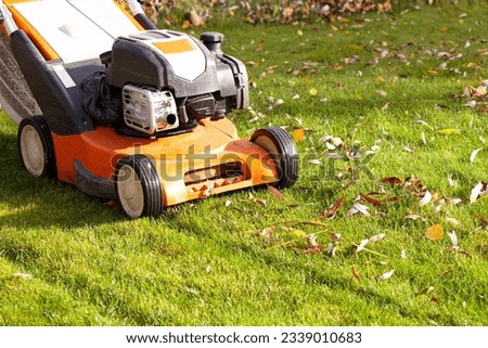 Autumn season, lawn mowing in the garden Royalty-Free Stock Photo #2339010683