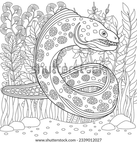 Adult colouring page with a moray eel. Outline intricate underwater design.