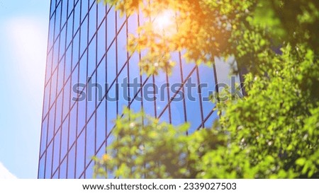 Reflection of modern commercial building on glass with sunlight. Eco architecture. Green tree and glass office building. The harmony of nature and modernity. 