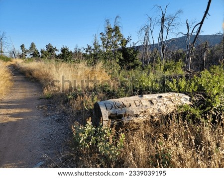 Wintu Trail in Swasey Recreation Area near Redding, California Royalty-Free Stock Photo #2339039195