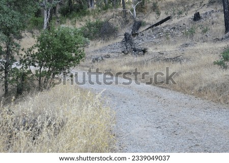 Hiking Trail at Horsetown Clear Creek Preserve near Redding, California