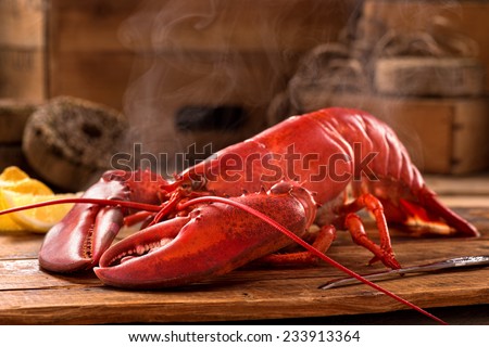 A delicious freshly steamed lobster in the rough. Royalty-Free Stock Photo #233913364