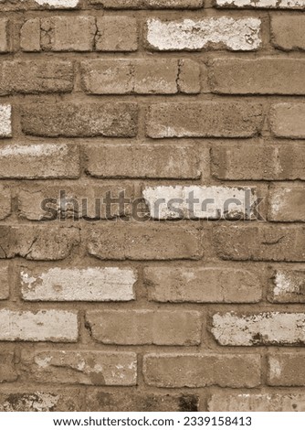 Bricks Wall: Celebrating the Classic Aesthetics of Traditional Masonry