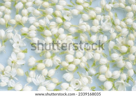 Thai jasmine flowers soaked in water