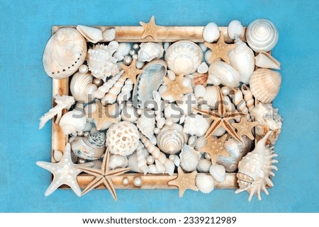Seashell and pearl with gold grunge picture frame on mottled blue background. Natural nature design with collection of beautiful sea shells.