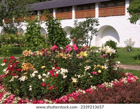 A beautiful flower bed with flowers against the background of the wall of the Tolga Monastery, in July 2023
