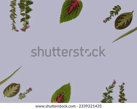 Floral frame made of leaves and flowers isolated on lavender purple background. Green and brown leaves, purple flowers. Assorted leaves and flowers border. Top view, flat lay.