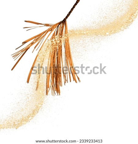 Watercolor pampas grass border. Boho dried grass and leaves neutral colors bouquet. Botanical nature design isolated on white. Bohemian style wedding invitation, greeting, card, postcard