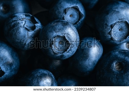 Fresh blueberry background, texture blueberry berries close up, macro shot. Royalty-Free Stock Photo #2339234807