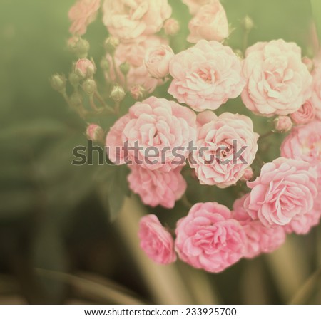 Floral background 