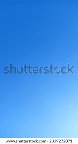 The picture is of an immaculately clear sky during the daytime with no clouds, no birds, and it's exceptionally beautiful.