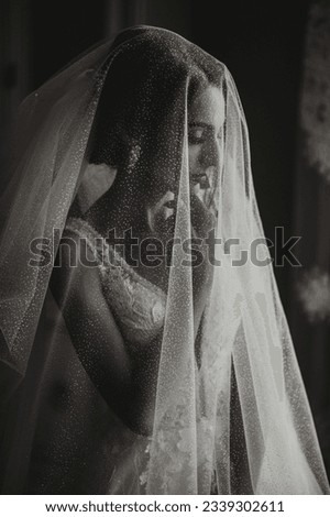 A brunette girl is preparing for the wedding. Portrait photo of the bride in a wedding dress with an elegant hairstyle and luxurious makeup, photo of the bride under the veil