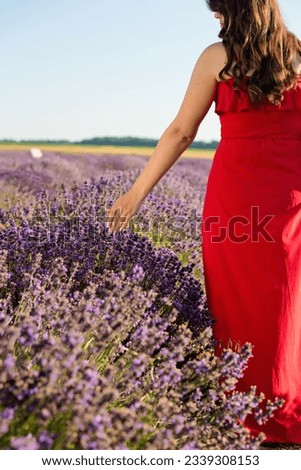 Woman's hand touching lavender. Nature background.
