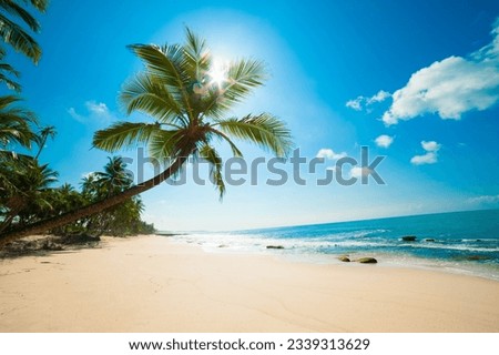 Maldives Island best beach Holidays