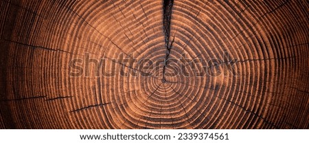 beautiful cut tree trunk with annual rings and cracks. wood texture background Royalty-Free Stock Photo #2339374561