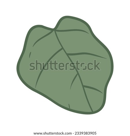 Tropical leaves Elements. Hand-drawn vector illustration. Tropical leaves and abstract exotic plan vector design elements on the white background.