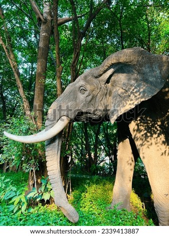 Forest Elephant Pictures wallpaper natures